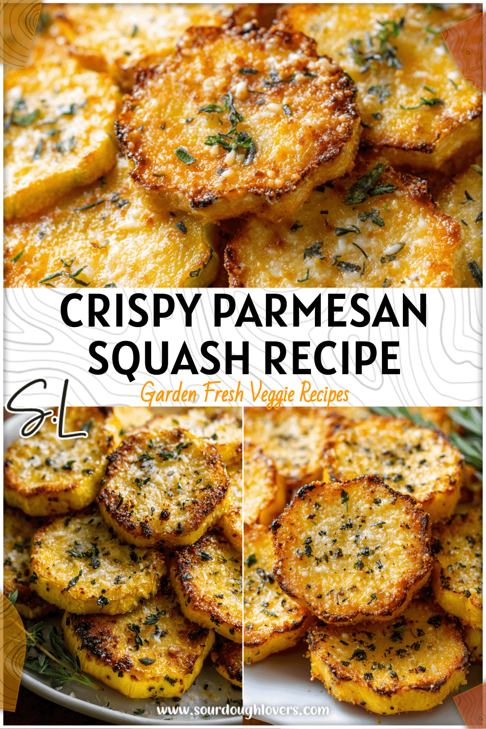 Crispy golden baked Parmesan Squash slices arranged on a white plate with herbs as a side recipe. 2